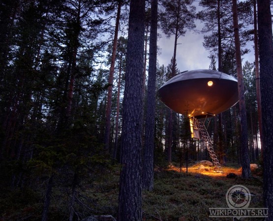 Отель на дереве на wikipoints.ru