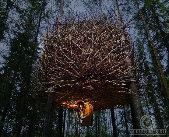 Отель на дереве на wikipoints.ru
