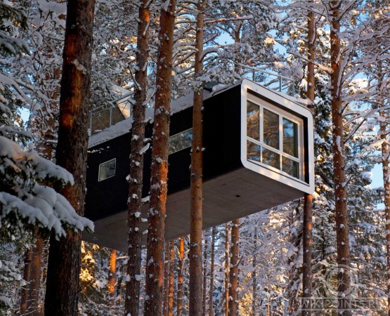 Отель на дереве на wikipoints.ru