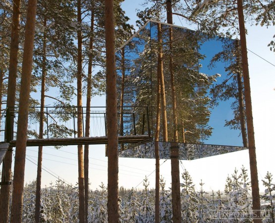 Отель на дереве на wikipoints.ru