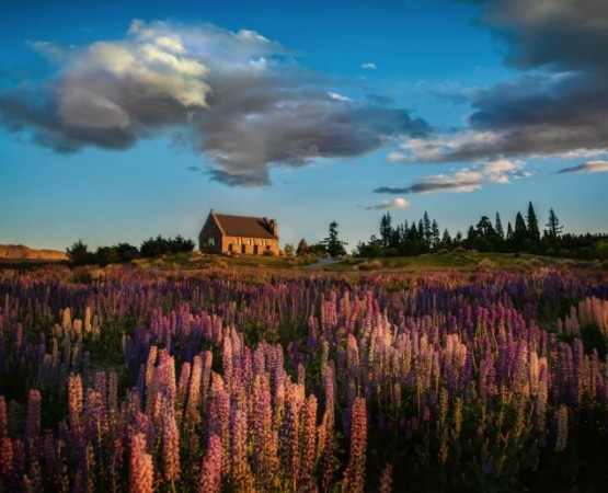 Церковь Доброго Пастыря на wikipoints.ru