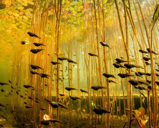 Озеро Каинды на wikipoints.ru