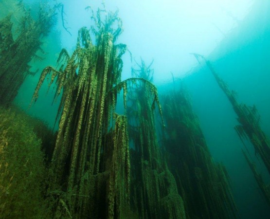 Озеро Каинды на wikipoints.ru