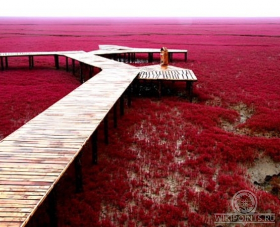 Красный пляж Паньцзинь на wikipoints.ru