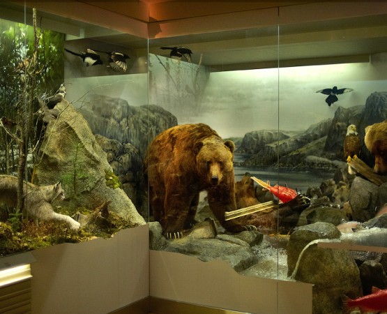 Музей естествознания Хельсинки на wikipoints.ru