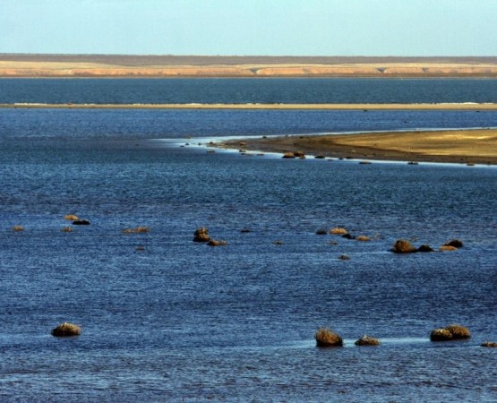 Озеро Маныч-Гудило на wikipoints.ru