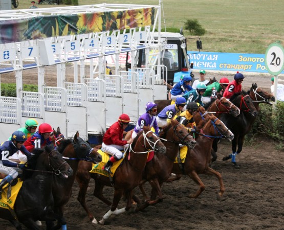 Ростовский ипподром  на wikipoints.ru