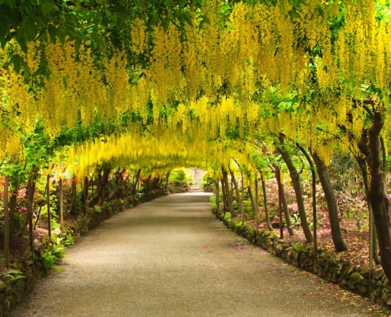 Сад Боднант на wikipoints.ru