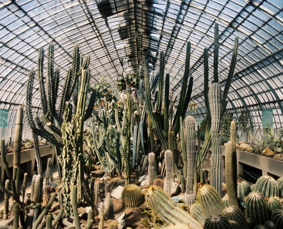 Оранжерейный сад Отей на wikipoints.ru