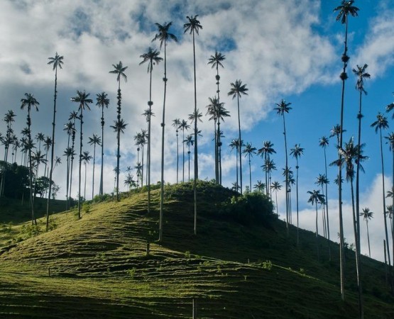 Долина Кокора на wikipoints.ru