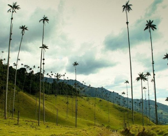 Долина Кокора на wikipoints.ru