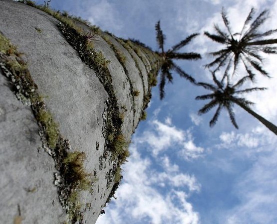 Долина Кокора на wikipoints.ru