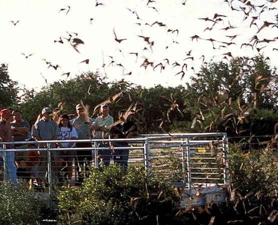 Впадина Дьявола на wikipoints.ru