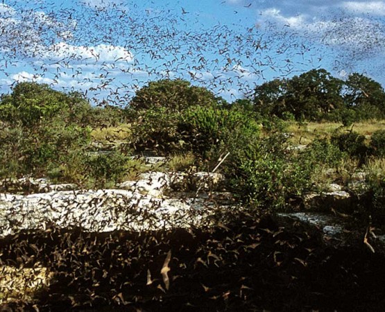 Впадина Дьявола на wikipoints.ru