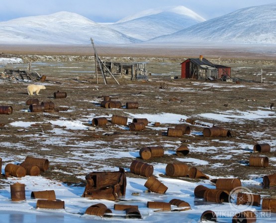 Остров Врангеля на wikipoints.ru