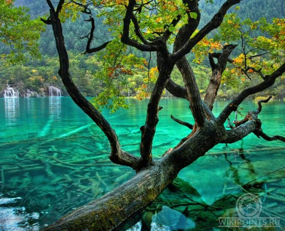 Озеро пяти цветков на wikipoints.ru