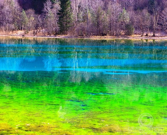 Озеро пяти цветков на wikipoints.ru