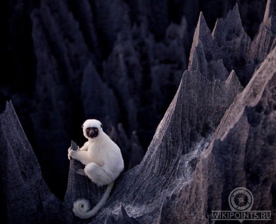 Цинжи-дю-Бемараха на wikipoints.ru