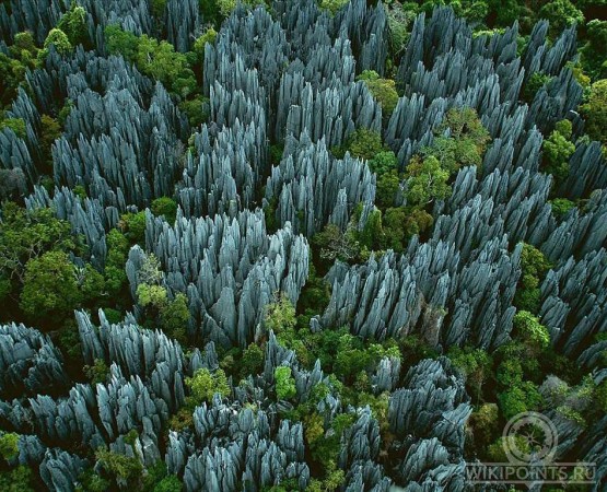 Цинжи-дю-Бемараха на wikipoints.ru