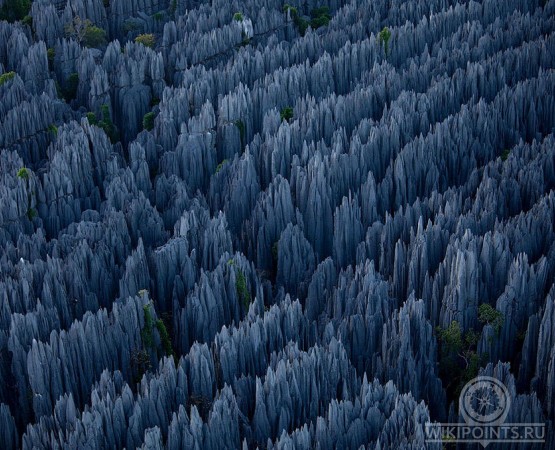 Цинжи-дю-Бемараха на wikipoints.ru