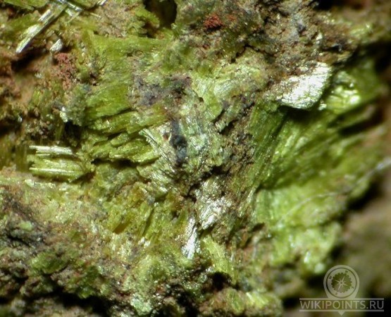 Мост Охуэла на wikipoints.ru