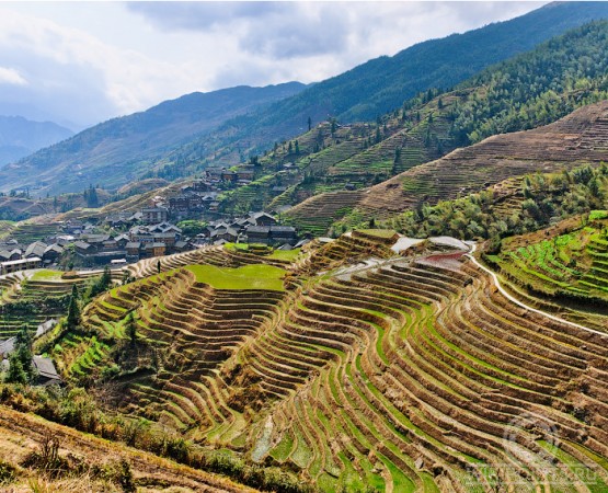 Рисовые террасы Лунцзи на wikipoints.ru