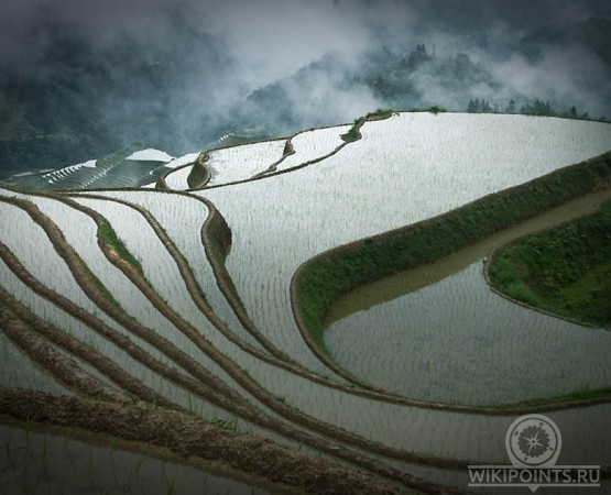 Рисовые террасы Лунцзи на wikipoints.ru