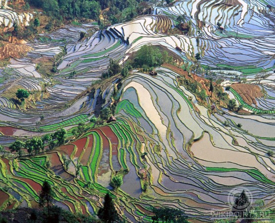 Рисовые террасы Лунцзи на wikipoints.ru