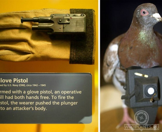 Международный музей шпионажа на wikipoints.ru