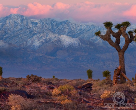 Национальный парк Долина Смерти на wikipoints.ru