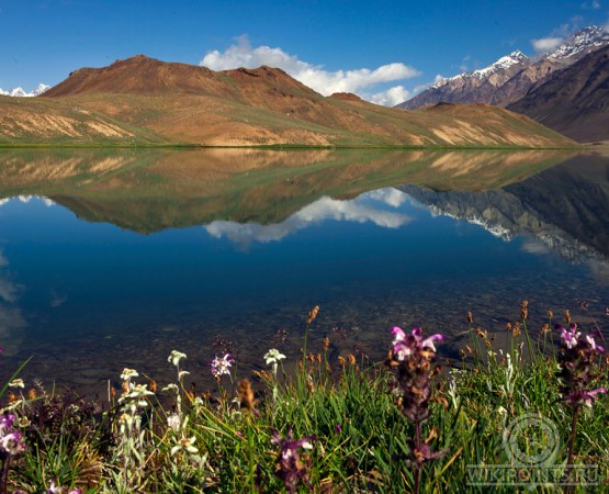Чандра Тал на wikipoints.ru