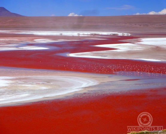 Лагуна Колорада на wikipoints.ru