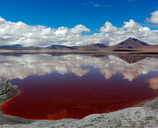 Лагуна Колорада на wikipoints.ru