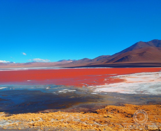 Лагуна Колорада на wikipoints.ru