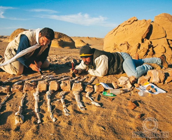 Вади-аль-Хитан на wikipoints.ru