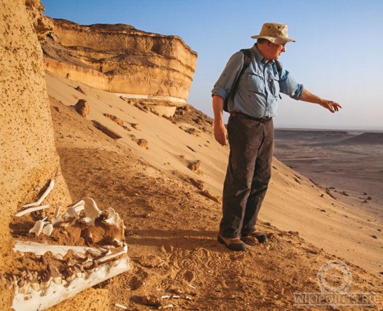 Вади-аль-Хитан на wikipoints.ru