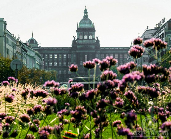 Вацлавская площадь на wikipoints.ru