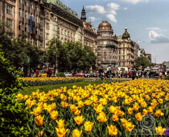 Вацлавская площадь на wikipoints.ru