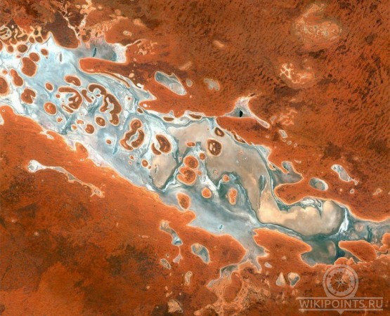 Озеро Амадиус на wikipoints.ru