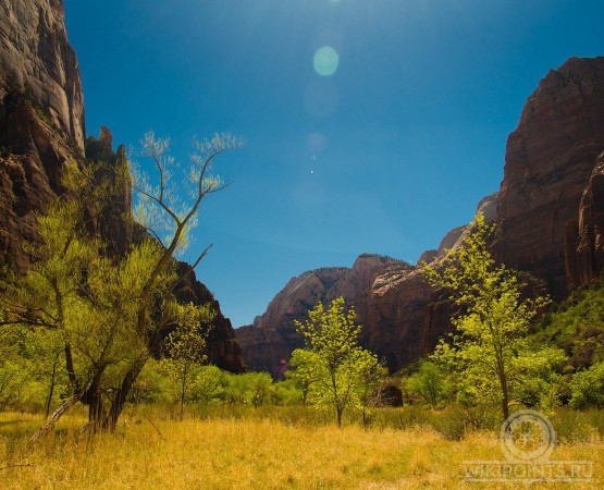 Национальный парк Зайон на wikipoints.ru