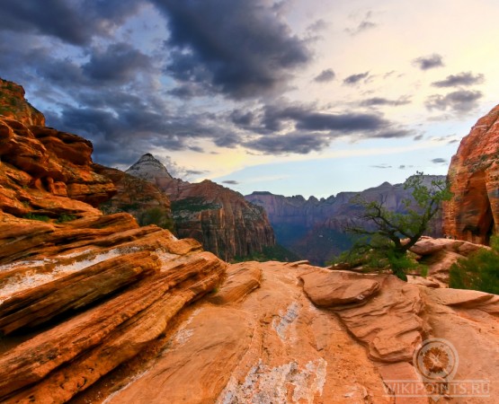 Национальный парк Зайон на wikipoints.ru
