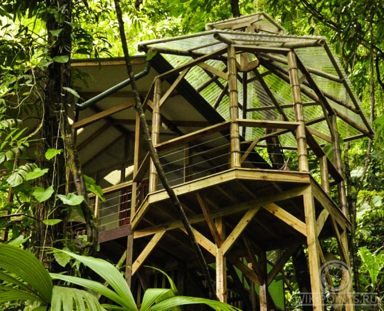 Усадьба Беллависта на wikipoints.ru