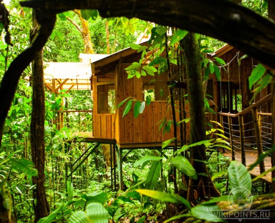 Усадьба Беллависта на wikipoints.ru