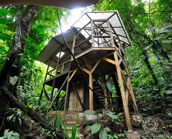 Усадьба Беллависта на wikipoints.ru