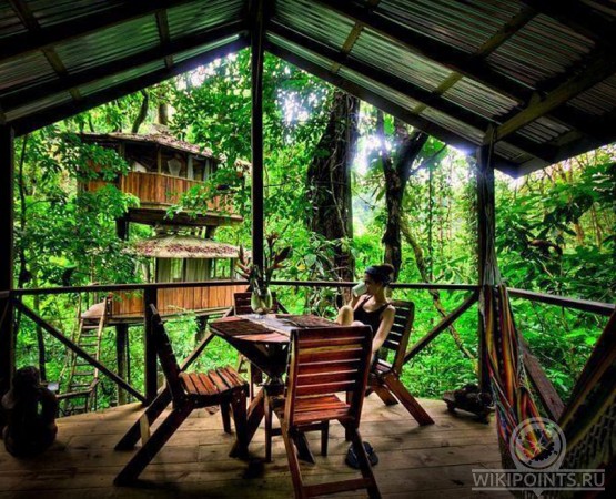 Усадьба Беллависта на wikipoints.ru