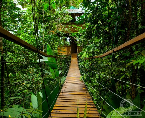 Усадьба Беллависта на wikipoints.ru