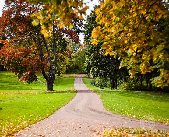 Парк Александрия на wikipoints.ru