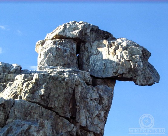Гора Верблюд на wikipoints.ru