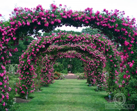 Парк Элизабет на wikipoints.ru