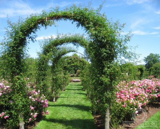 Парк Элизабет на wikipoints.ru